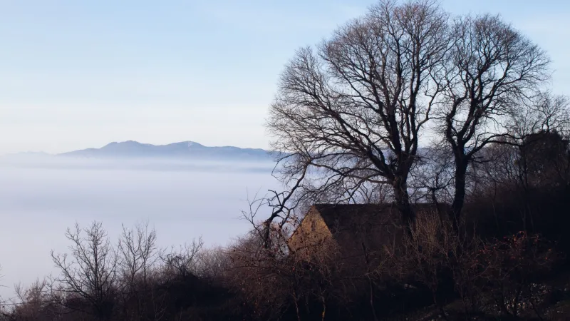 Il Fascino Silenzioso di Mores in Inverno: Scoprire il Borgo quando il Tempo Rallenta
